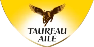 Taureau Ailé